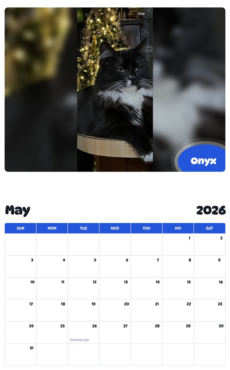 2026 - 2027 Onyx - Pawidols Pet Calendar