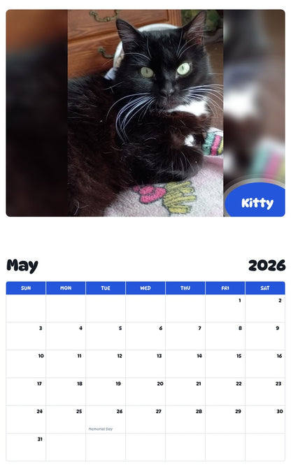 2026 - 2027 Kitty - Pawidols Pet Calendar