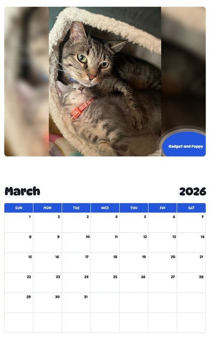 November 2025 - October 2026 Gadget and Poppy - Pawidols Pet Calendar