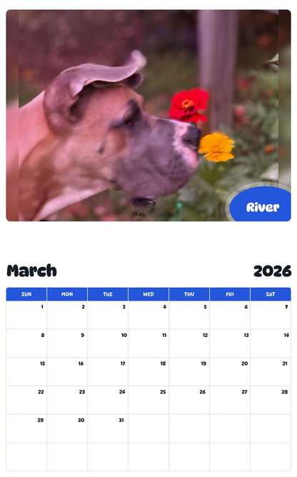 November 2025 - October 2026 River - Pawidols Pet Calendar