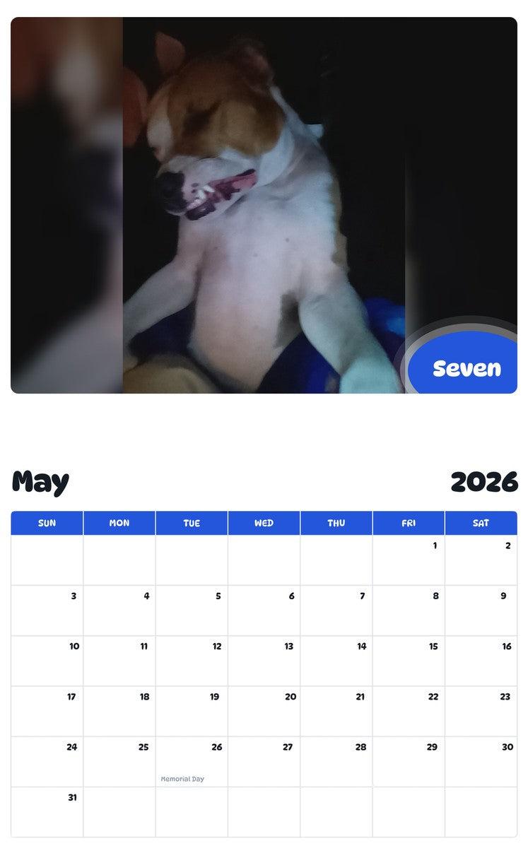 2026 - 2027 Seven - Pawidols Pet Calendar