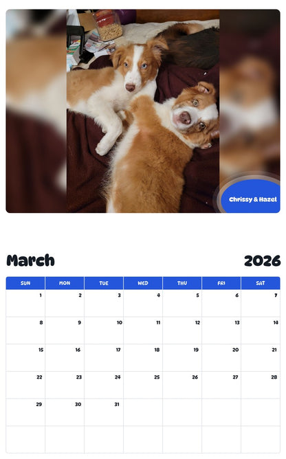 November 2025 - October 2026 Chrissy & Hazel - Pawidols Pet Calendar