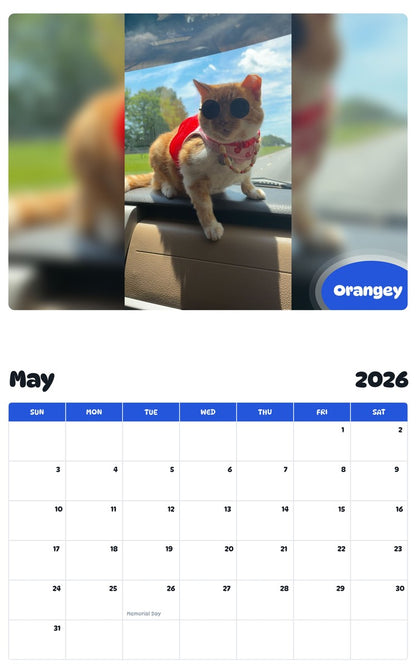 2026 - 2027 Orangey - Pawidols Pet Calendar