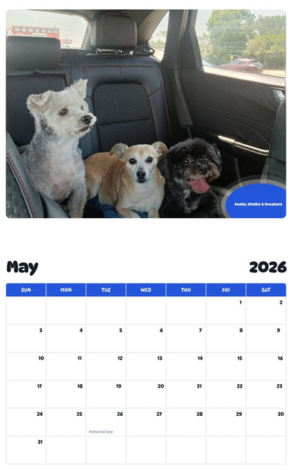 2026 - 2027 Buddy, Chalky & Sneekerz - Pawidols Pet Calendar