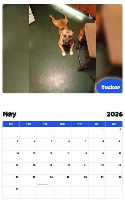 2026 - 2027 Tucker - Pawidols Pet Calendar
