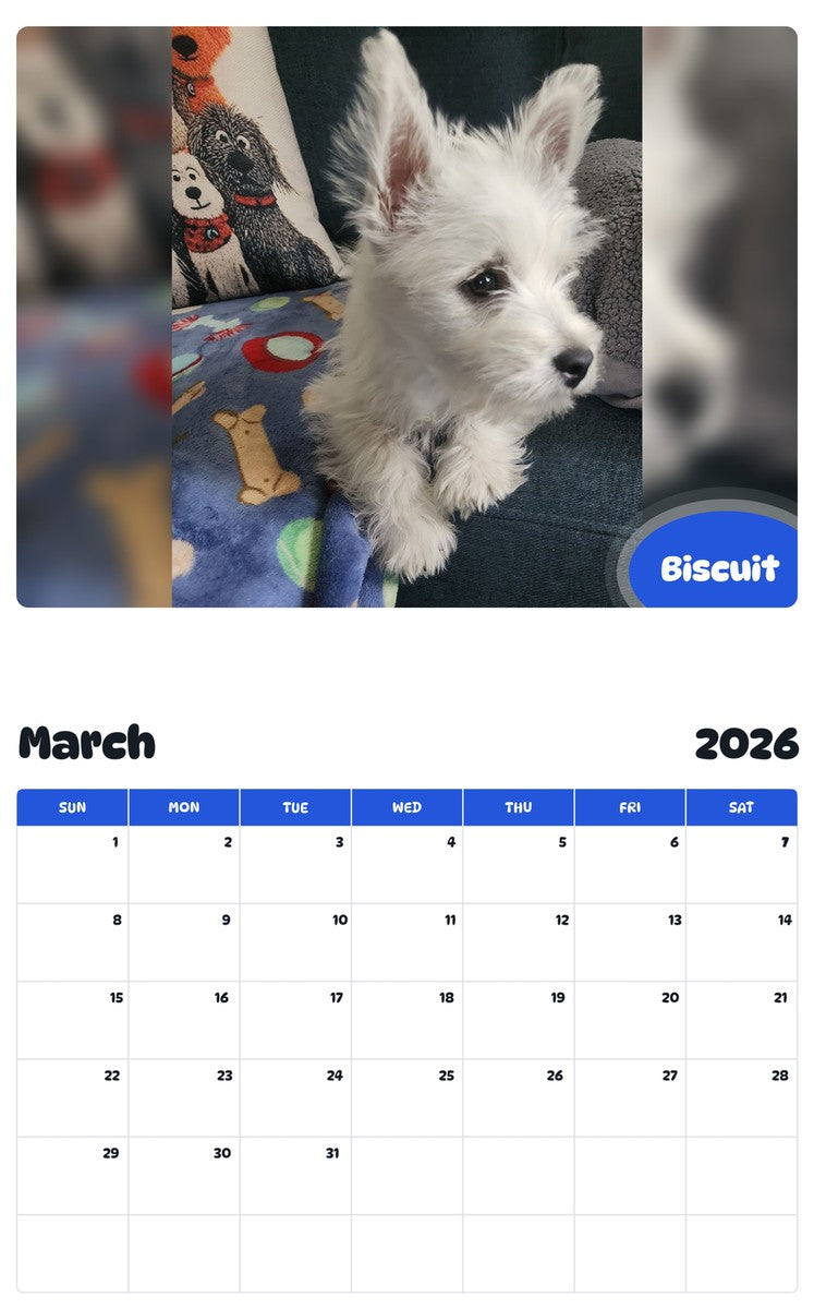 November 2025 - October 2026 Biscuit - Pawidols Pet Calendar