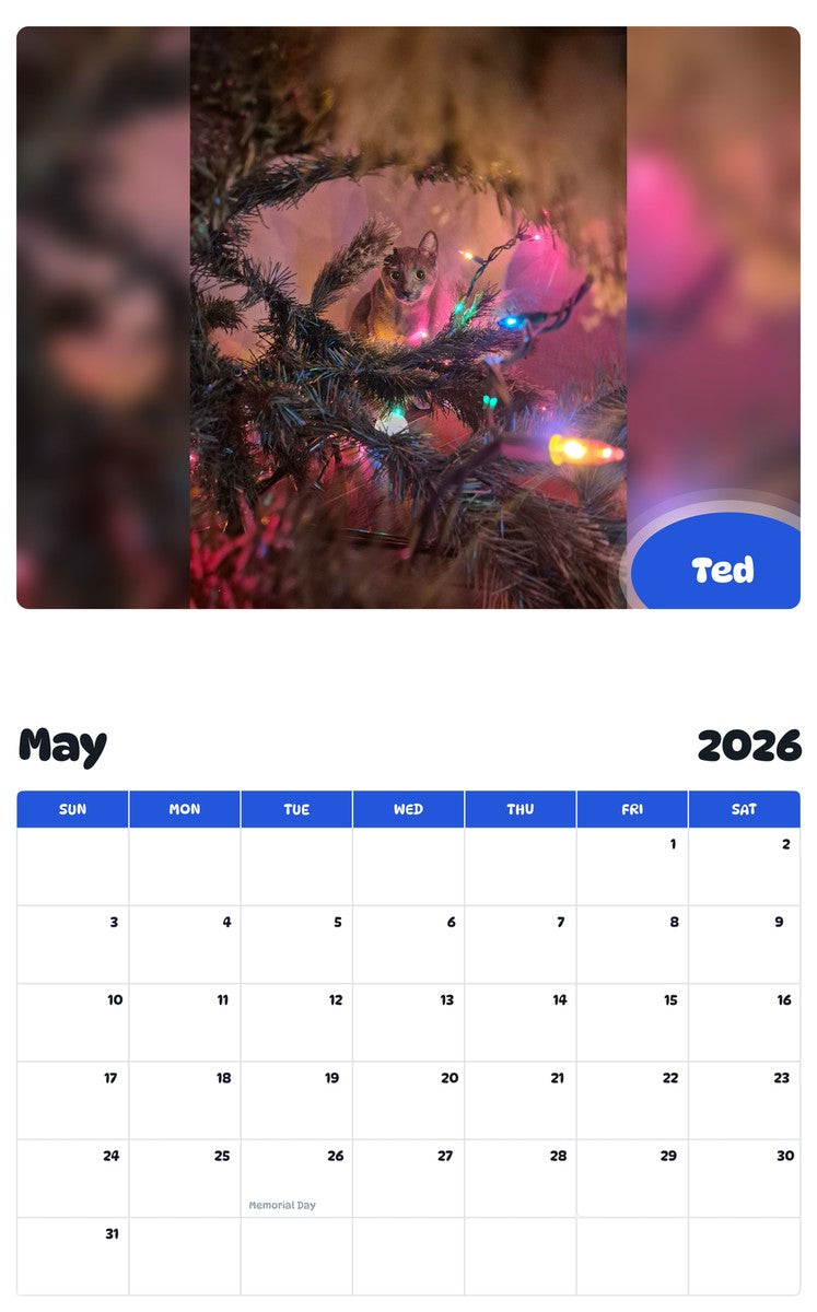 2026 - 2027 Ted - Pawidols Pet Calendar