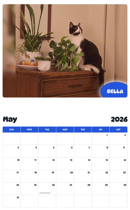 2026 - 2027 BELLA - Pawidols Pet Calendar