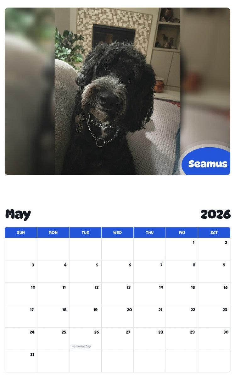 2026 - 2027 Seamus - Pawidols Pet Calendar