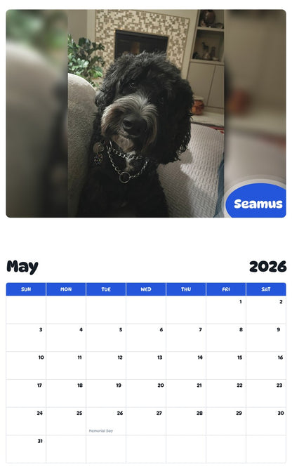 2026 - 2027 Seamus - Pawidols Pet Calendar