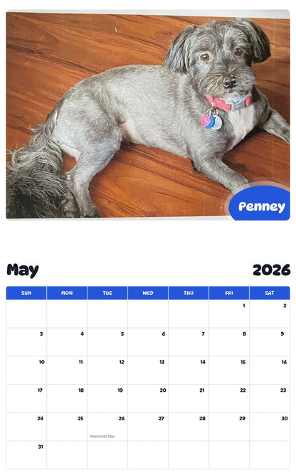 2026 - 2027 Penney - Pawidols Pet Calendar