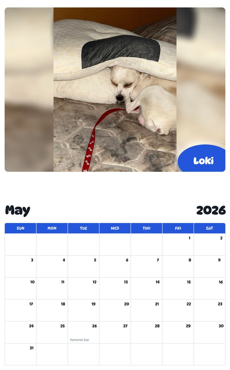 2026 - 2027 Loki - Pawidols Pet Calendar