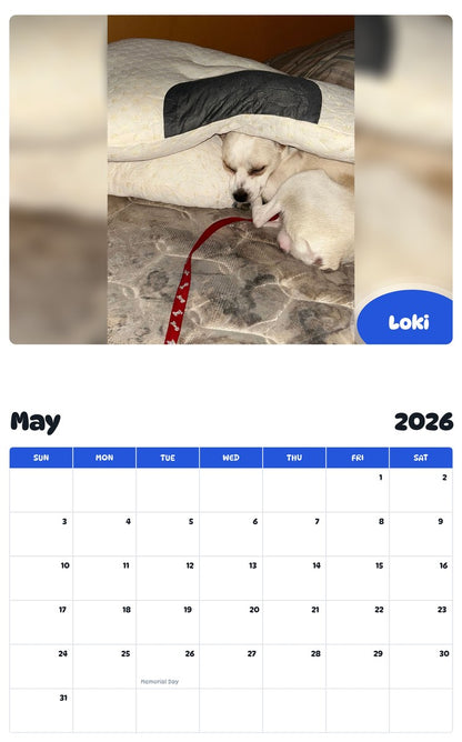 2026 - 2027 Loki - Pawidols Pet Calendar