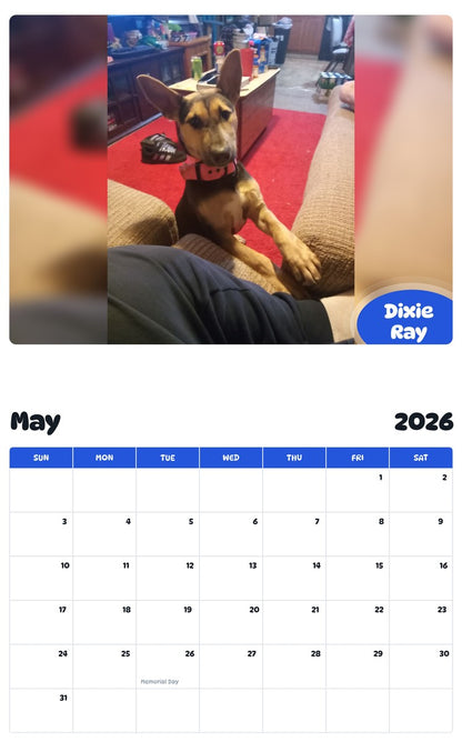 2026 - 2027 Dixie Ray - Pawidols Pet Calendar