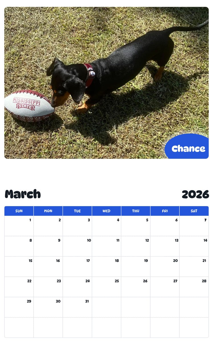 November 2025 - October 2026 Chance - Pawidols Pet Calendar
