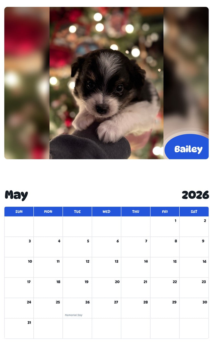 2026 - 2027 Bailey - Pawidols Pet Calendar
