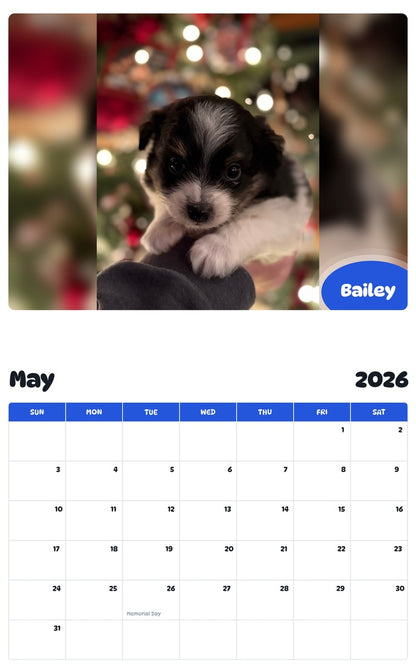 2026 - 2027 Bailey - Pawidols Pet Calendar