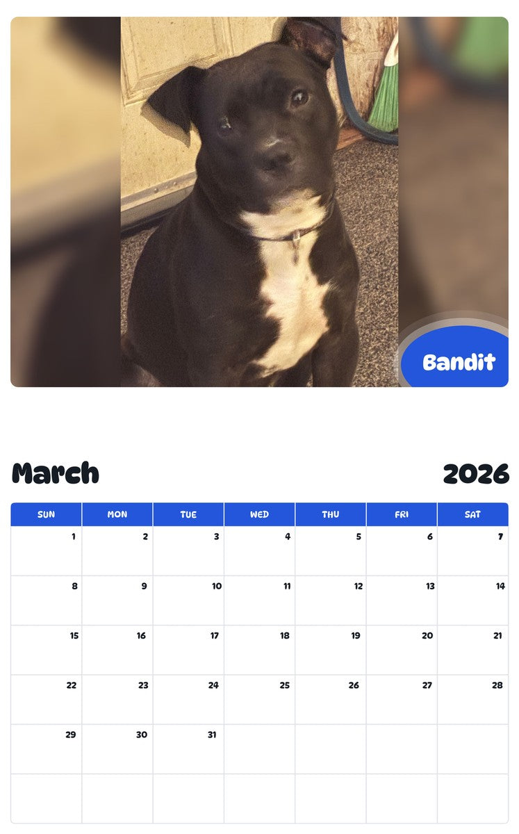November 2025 - October 2026 Bandit - Pawidols Pet Calendar