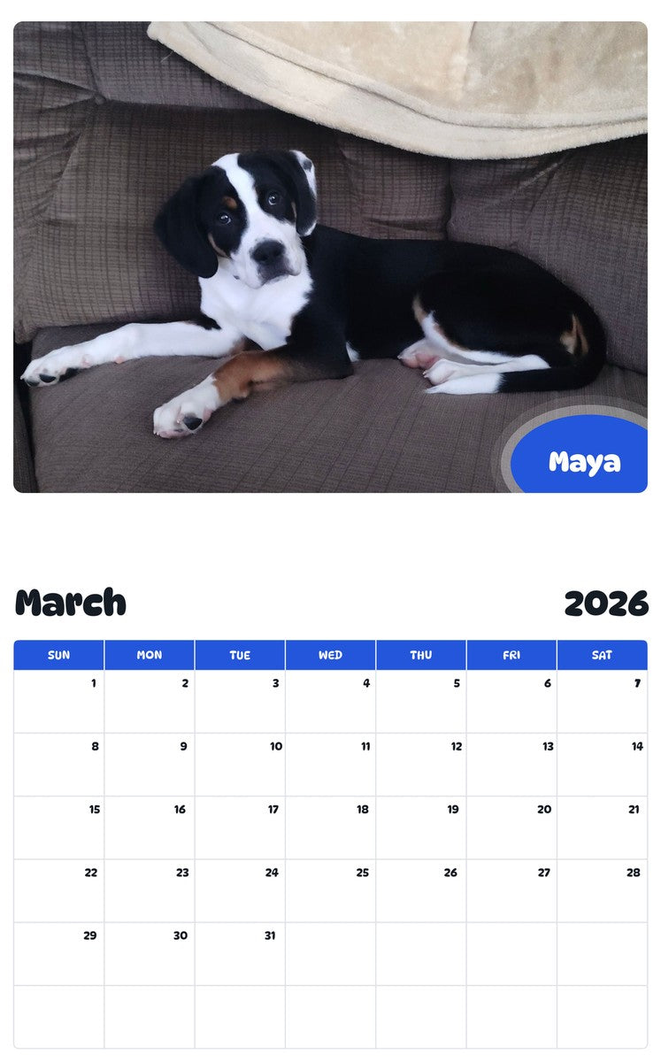 November 2025 - October 2026 Maya - Pawidols Pet Calendar