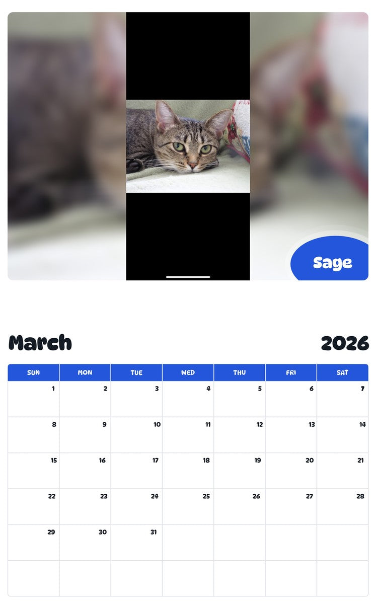 November 2025 - October 2026 Sage - Pawidols Pet Calendar