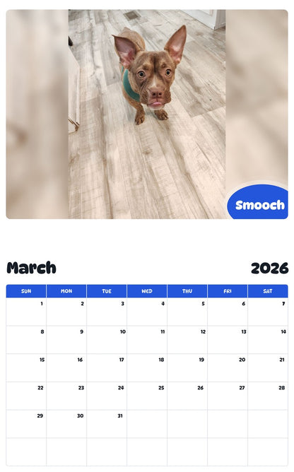 November 2025 - October 2026 Smooch - Pawidols Pet Calendar