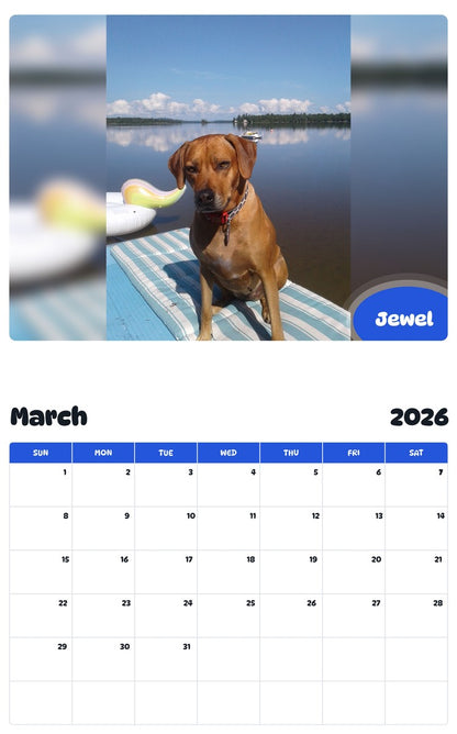 November 2025 - October 2026 Jewel - Pawidols Pet Calendar