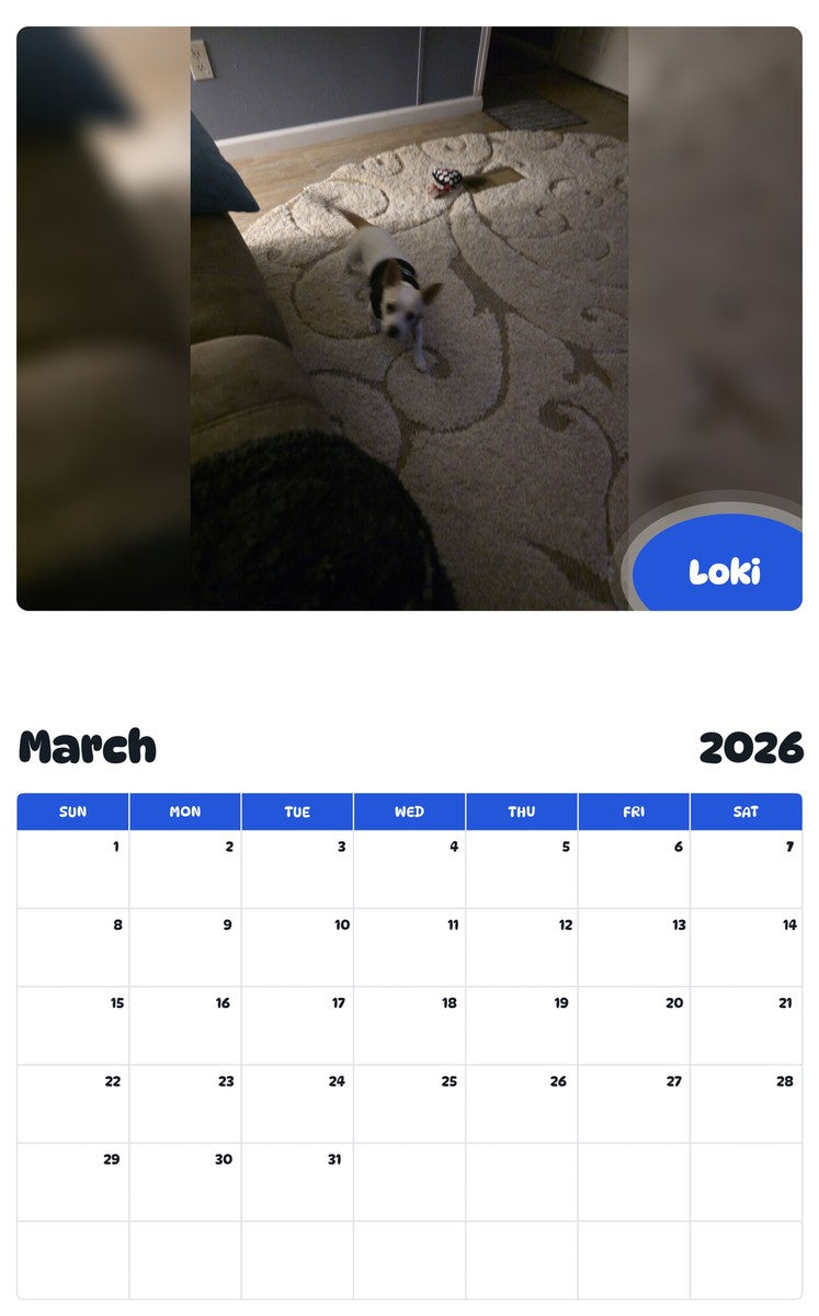 November 2025 - October 2026 Loki - Pawidols Pet Calendar