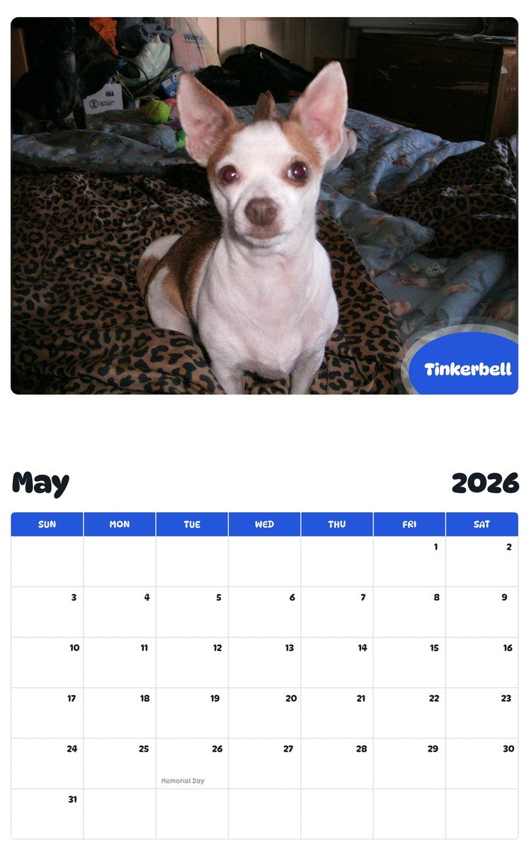 2026 - 2027 Tinkerbell - Pawidols Pet Calendar