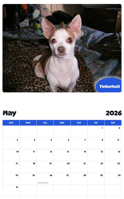 2026 - 2027 Tinkerbell - Pawidols Pet Calendar