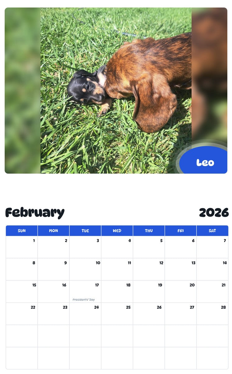 October 2025 - September 2026 Leo - Pawidols Pet Calendar