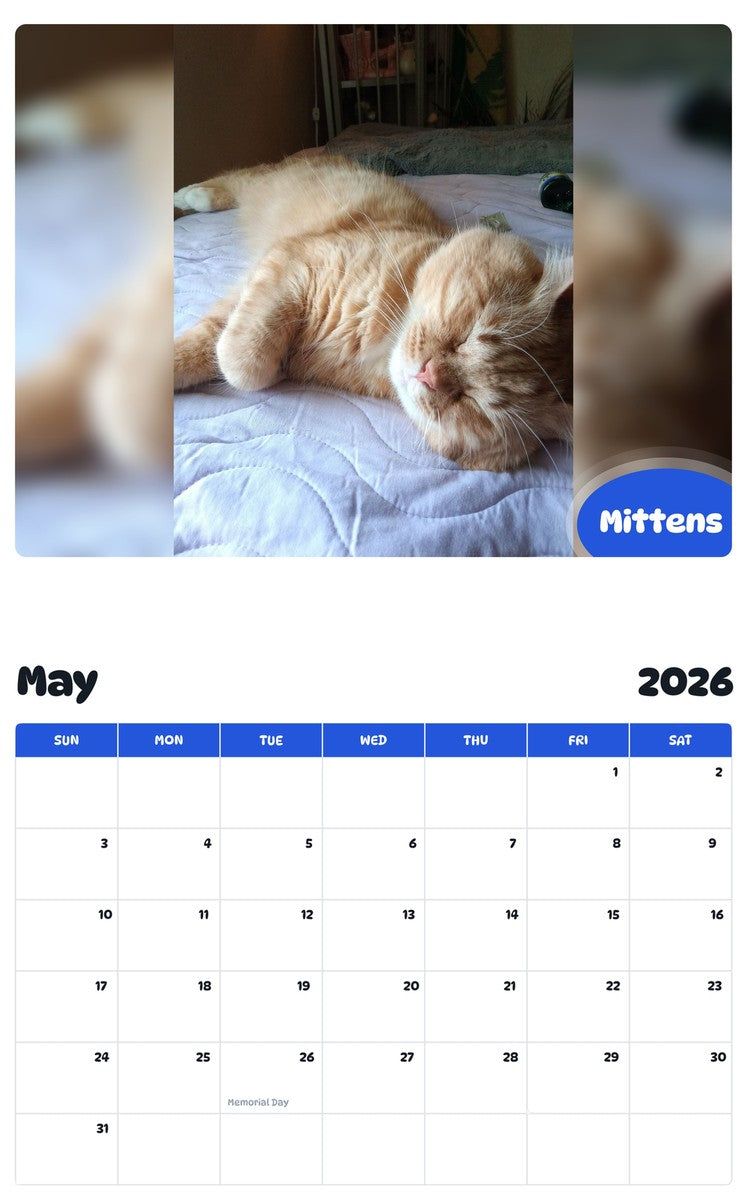 2026 - 2027 Mittens - Pawidols Pet Calendar