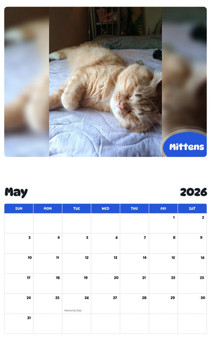 2026 - 2027 Mittens - Pawidols Pet Calendar