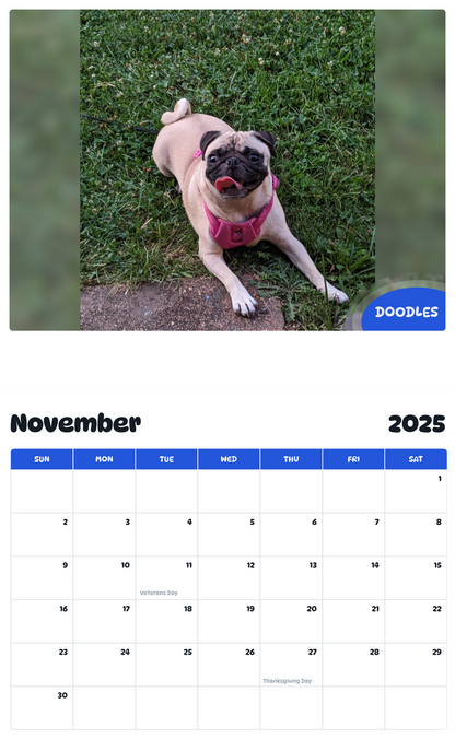 July 2025 - June 2026 Doodles - Pawidols Pet Calendar