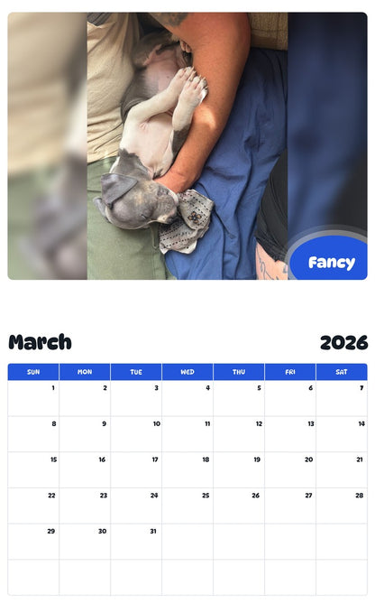 November 2025 - October 2026 Fancy - Pawidols Pet Calendar