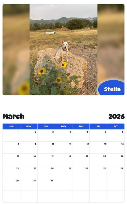 November 2025 - October 2026 Stella - Pawidols Pet Calendar