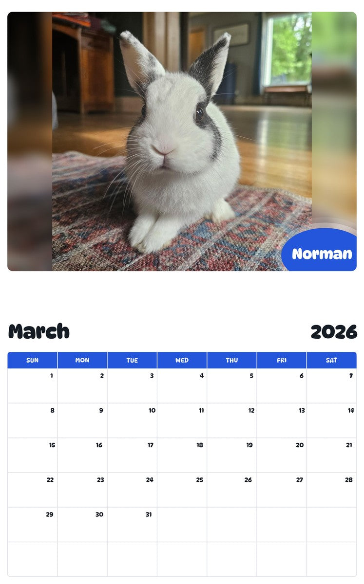 November 2025 - October 2026 Norman - Pawidols Pet Calendar