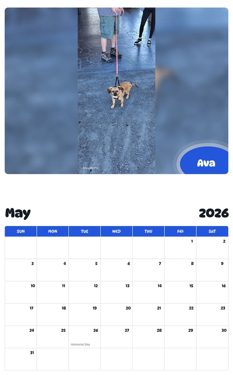 2026 - 2027 Ava - Pawidols Pet Calendar