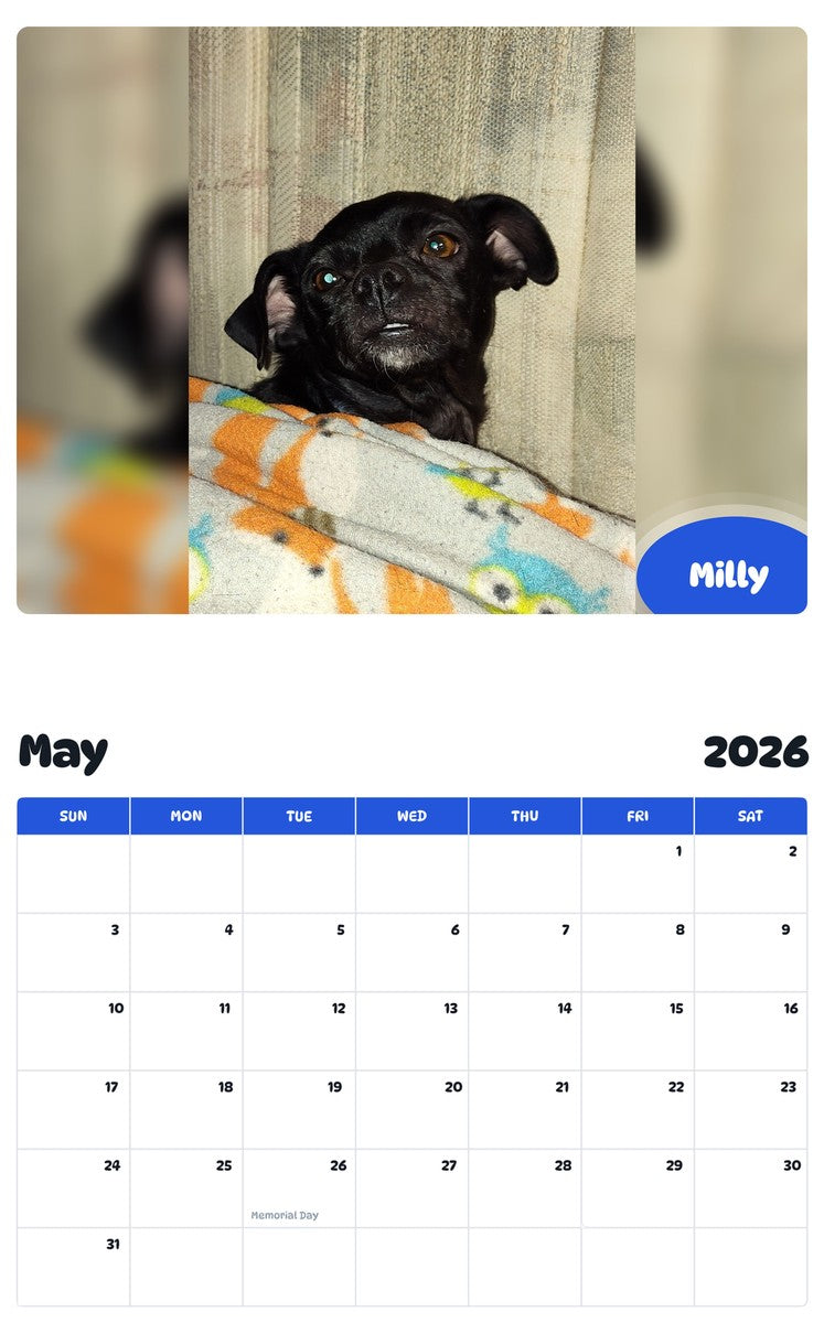 2026 - 2027 Milly - Pawidols Pet Calendar