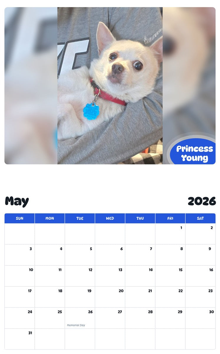 2026 - 2027 Princess Young - Pawidols Pet Calendar