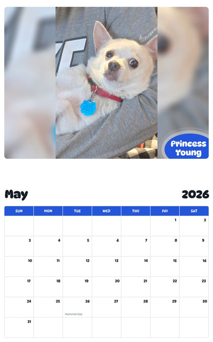 2026 - 2027 Princess Young - Pawidols Pet Calendar