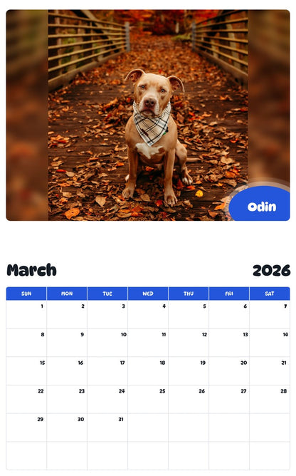 November 2025 - October 2026 Odin - Pawidols Pet Calendar