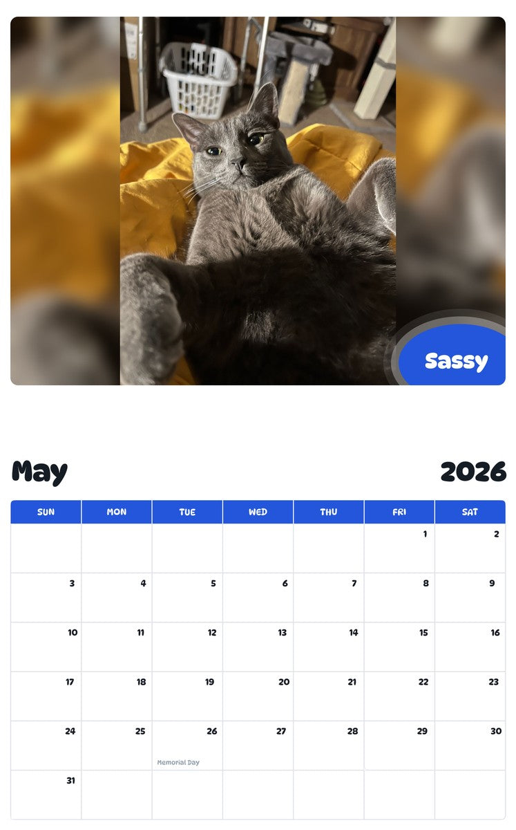 2026 - 2027 Sassy - Pawidols Pet Calendar