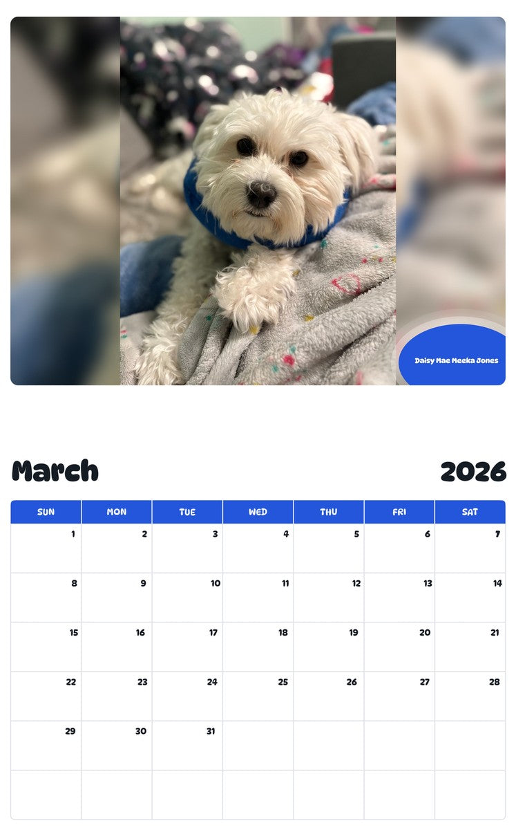 November 2025 - October 2026 Daisy Mae Meeka Jones - Pawidols Pet Calendar