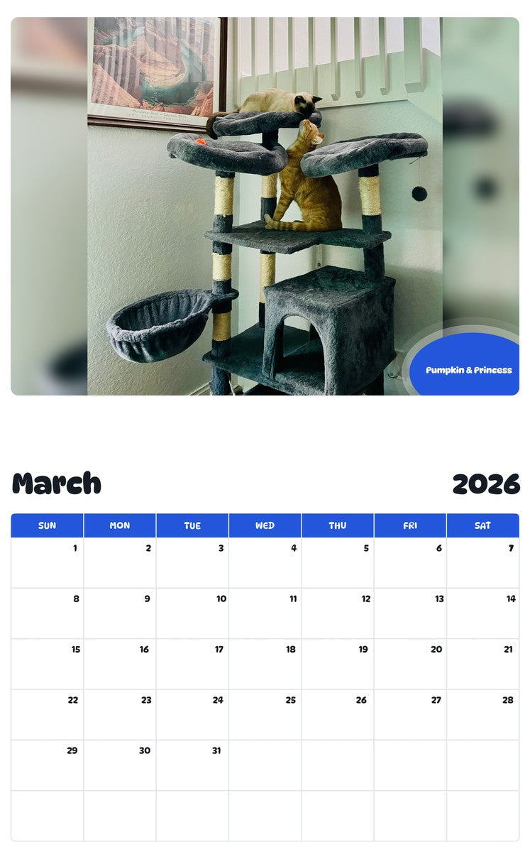 November 2025 - October 2026 Pumpkin & Princess - Pawidols Pet Calendar