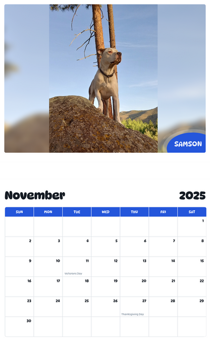 July 2025 - June 2026 Samson - Pawidols Pet Calendar