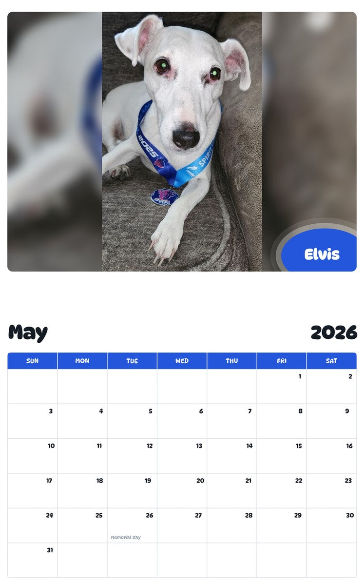 2026 - 2027 Elvis - Pawidols Pet Calendar