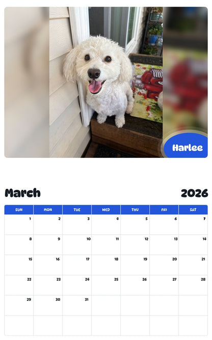 November 2025 - October 2026 Harlee - Pawidols Pet Calendar