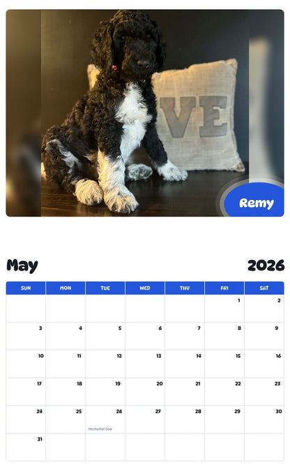 2026 - 2027 Remy - Pawidols Pet Calendar