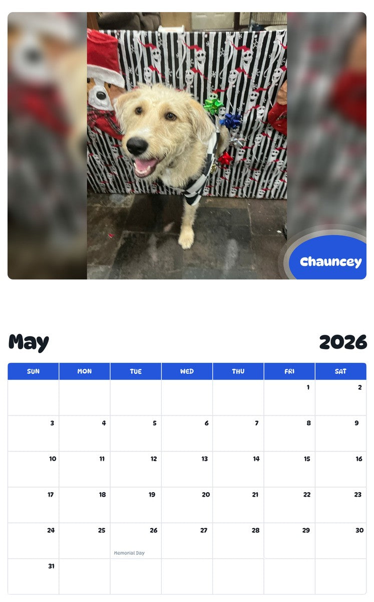 2026 - 2027 Chauncey - Pawidols Pet Calendar