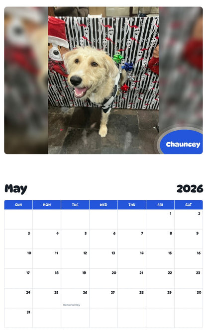 2026 - 2027 Chauncey - Pawidols Pet Calendar